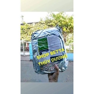 Cám Thái InVe 3/5