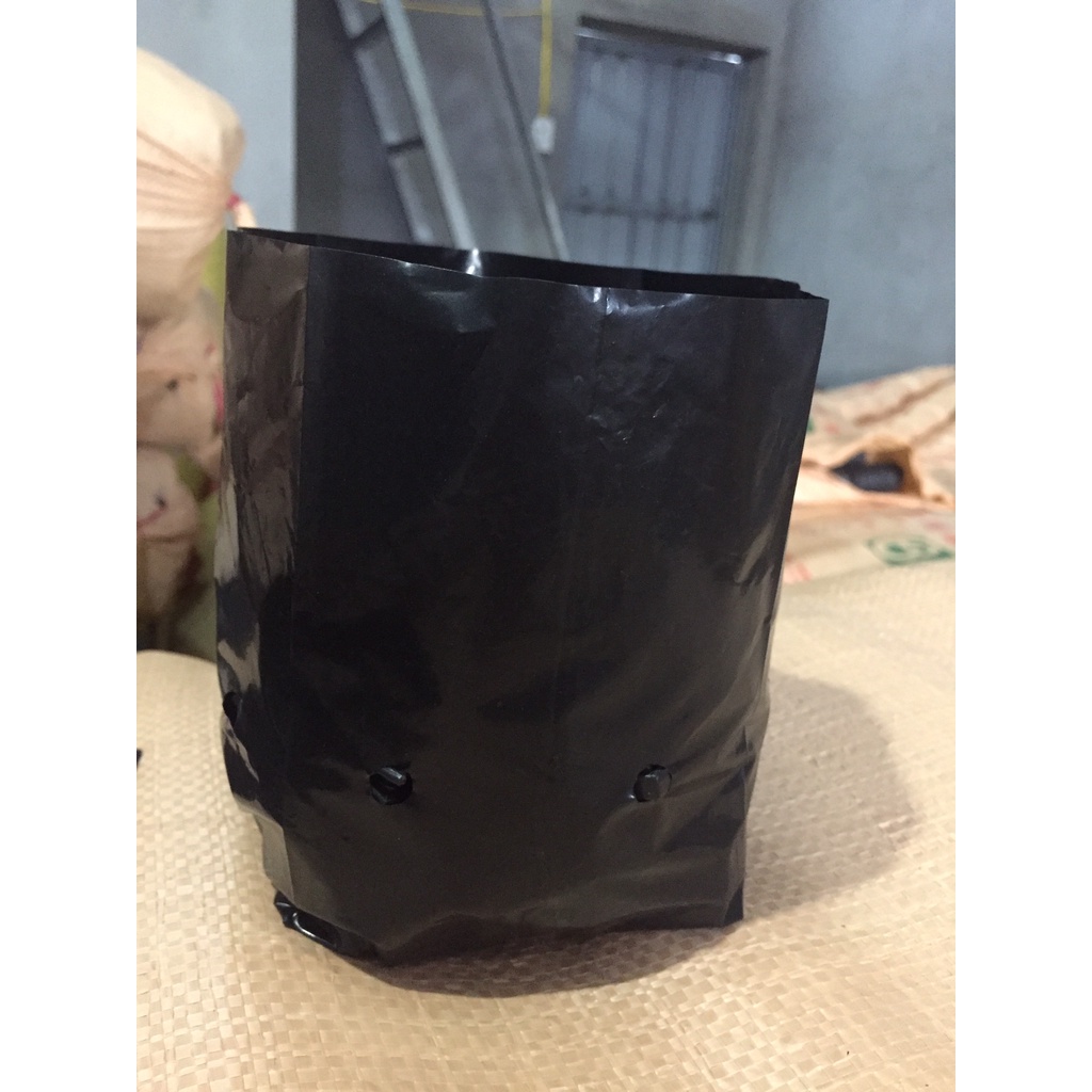 1KG TÚI ƯƠM CÂY MÃ 10*20 ( KÍCH RỄ, MẦM CÂY XANH LÁ, DỊCH TRUYỀN CHO CÂY, BẠT CỎ...)