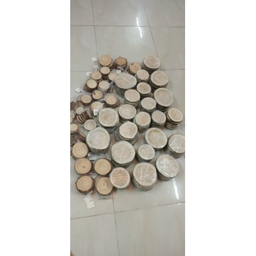 Khoanh gỗ miếng gỗ làm trang trí decor có nhiều size lựa chọn