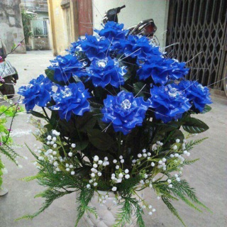 Combo nguyên liệu làm bình hoa hồng xanh không gồm bình
