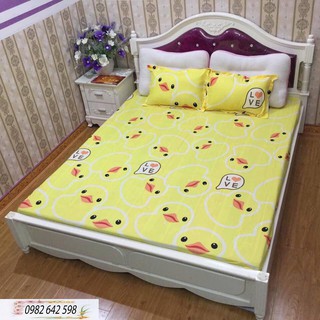 Bộ ga gối poly cotton rẻ đẹp