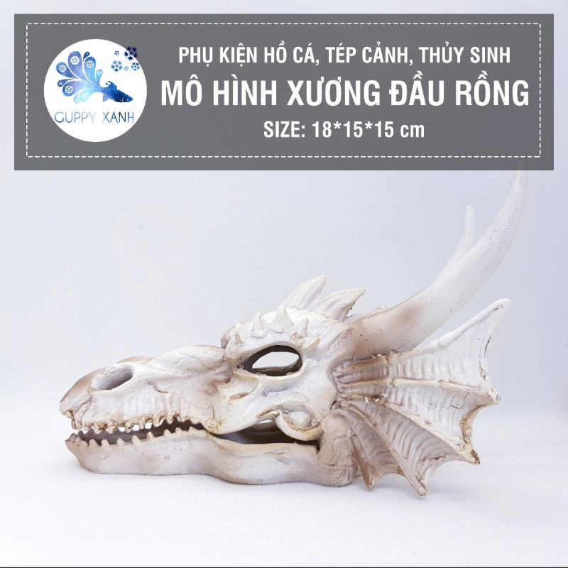 Đồ trang trí đầu lâu rồng trang trí bể cá lóc , hồ thủy sinh