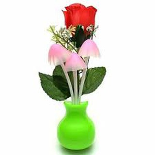 Đèn ngủ cảm ứng Nấm chùm