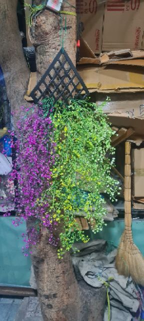 dây rủ đuôi chuông trang trí