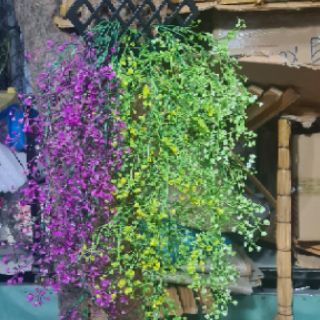 dây rủ đuôi chuông trang trí