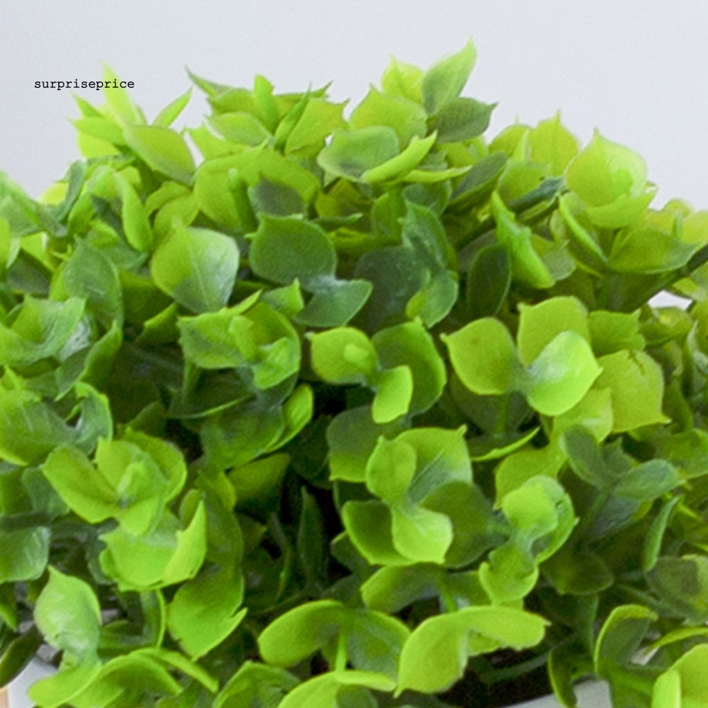Chậu Cây Bonsai Giả Trang Trí Bàn Làm Việc