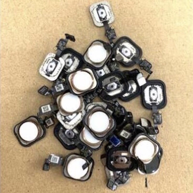 Phím home IP 6, 6plus, 6s, 6s plus