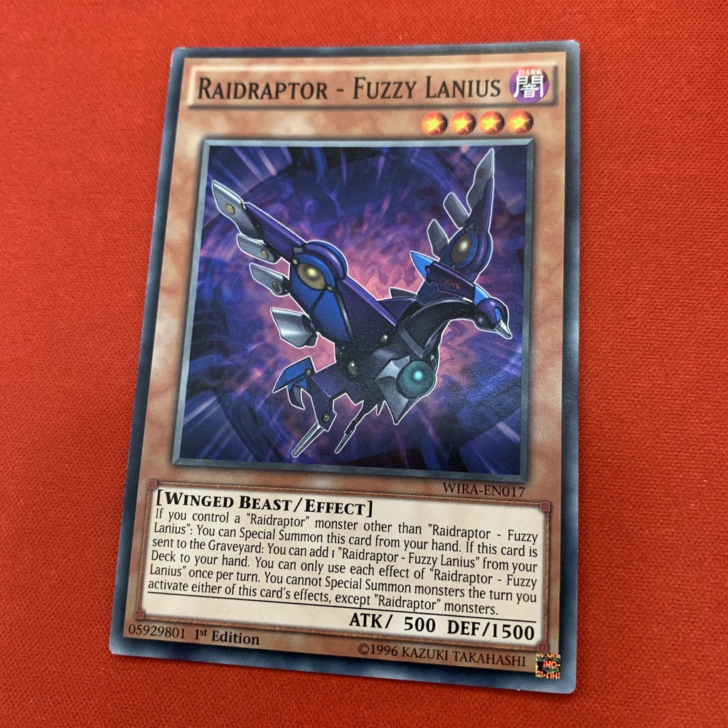 Raidraptor - Fuzzy Lanius