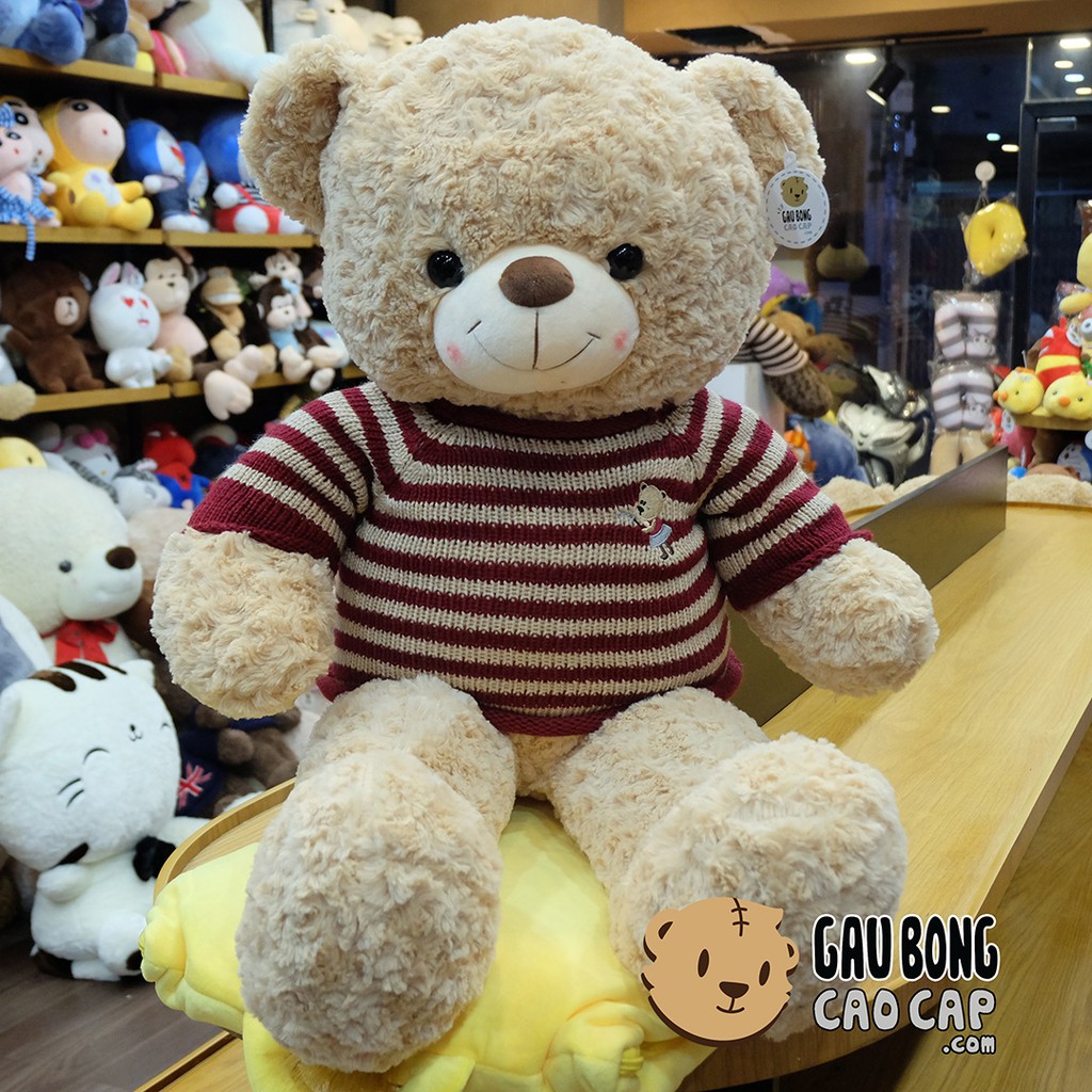 Gấu Bông Teddy áo len cafe sữa lông xoắn