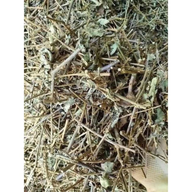 1KG Cà Gai Leo Tươi