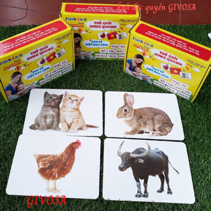 Bộ Thẻ Học Từ Vựng Kèm Hình Ảnh Size To Cho Bé- Dạy Trẻ Biết Đọc Sớm - Dạy Bé Nhận Biết Về Thế Giới Xung Quanh GIVOSA