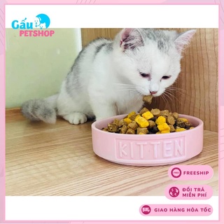 Thức ăn hạt cao cấp MISTER DONUT T1 cho mèo mẹ và mèo con