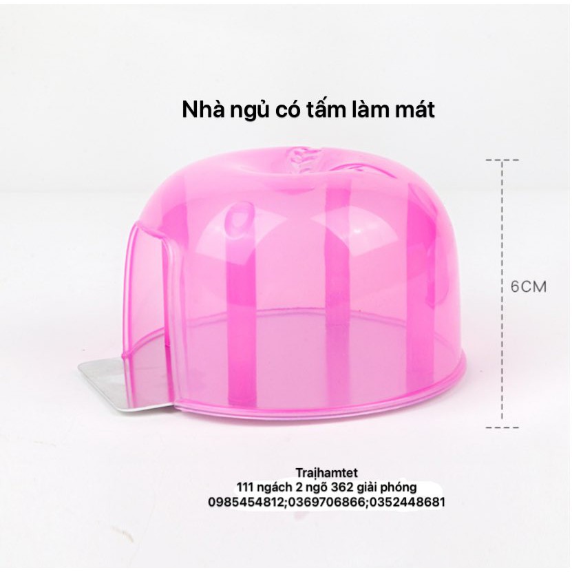 Nhà ngủ có tấm làm mát cho Hamster