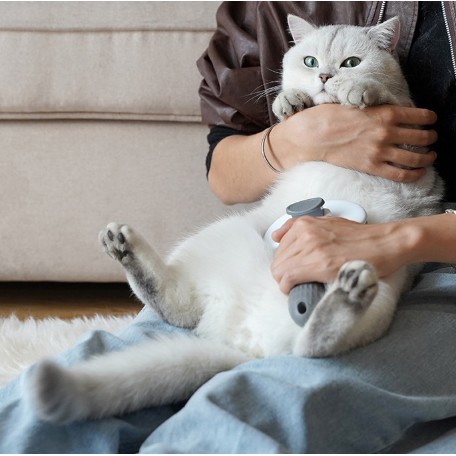 Zeze Lược chải lông cho chó mèo/ thú cưng