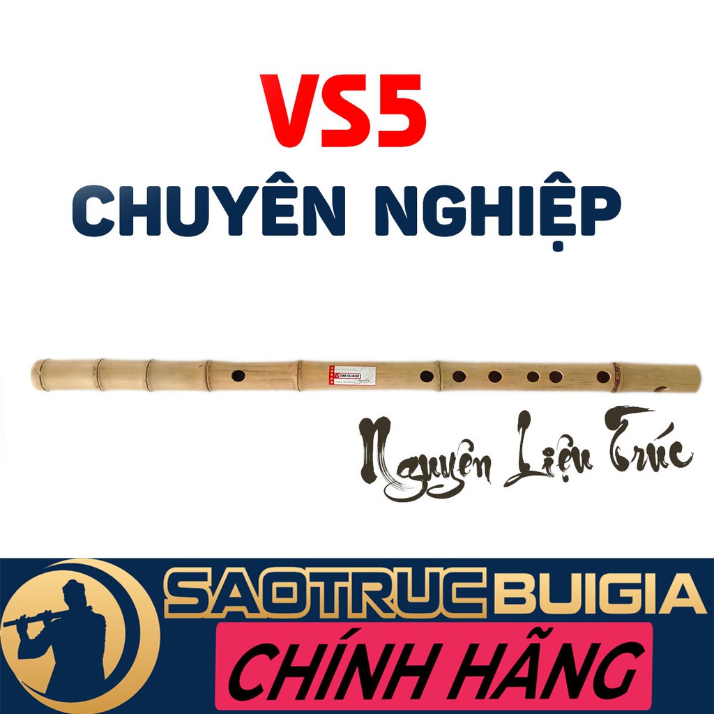 Sáo Trúc Bùi Gia - Nguyên Liệu Trúc - VS5 Dòng cao cấp - Tặng tài liệu HD học sáo + Túi nhung