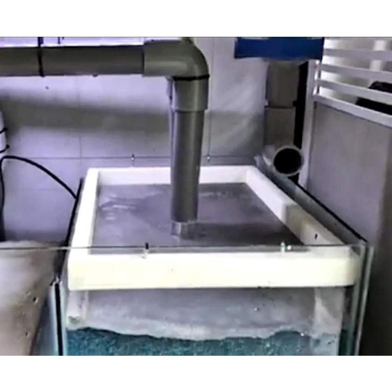 Khay hứng phân cho bể cá cảnh.