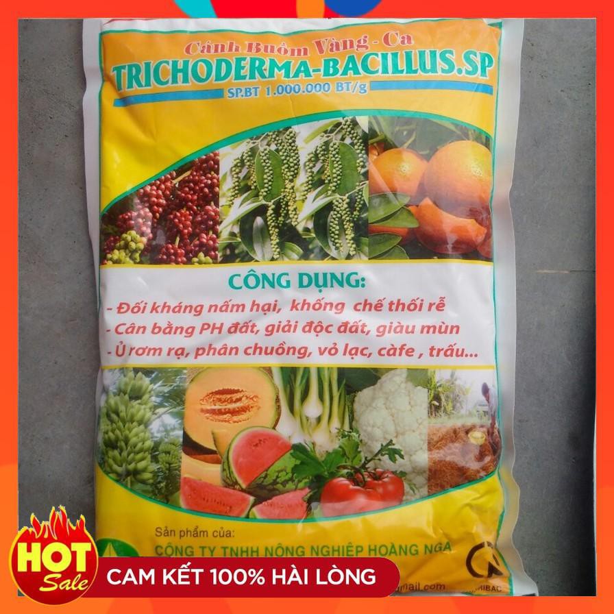 Chế phẩm sinh học Nấm TRICHODERMA-BACILLUS.SP ( 1kg)