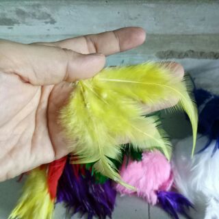 1 tép lông vũ làm dreamcatcher