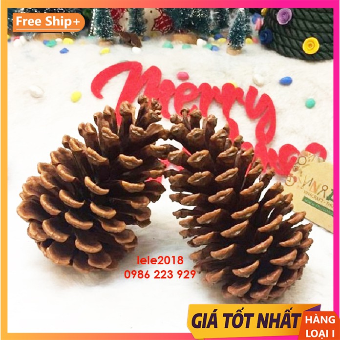 Quả thông trang trí cây thông noel và sự kiện giáng sinh