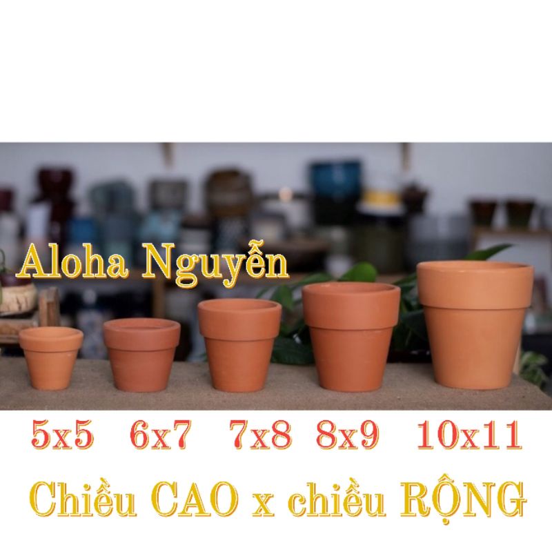 Chậu đất nung nâu trồng cây sen đá, xương rồng đủ kích thước