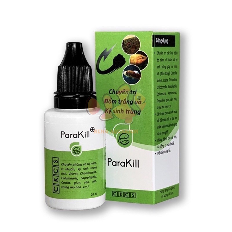 ANTI STRESS / PARA KILL DƯỠNG CÁ NẤM TÚM LẮC BẢY MÀU VÀ CÁC LOẠI