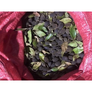 Say rừng gia lai 500gam