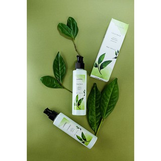 Serum body trà xanh kích trắng Soherbs