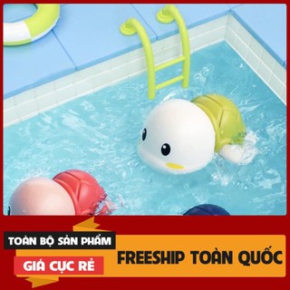 ĐỒ CHƠI CÁ RÙA THẢ BỒN TẮM
