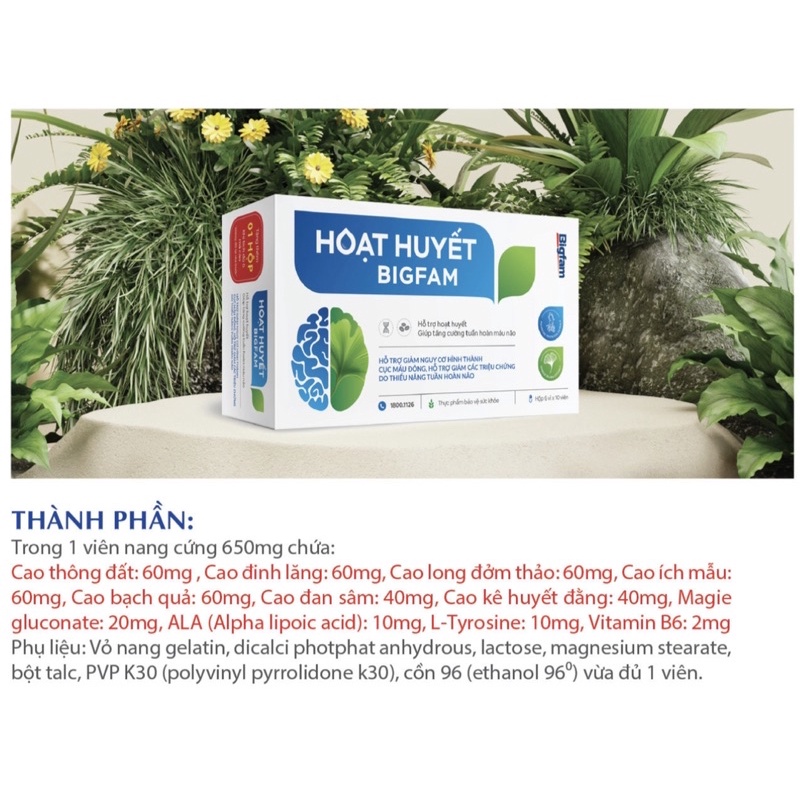 HOẠT HUYẾT BIGFAM Hỗ Trợ Tăng Cường Tuần Hoàn Máu Não Hộp 60 Viên