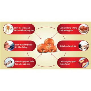 NẤM LINH CHI ĐỎ HÀN QUỐC 🍄(THÁI LÁT) (1KG)