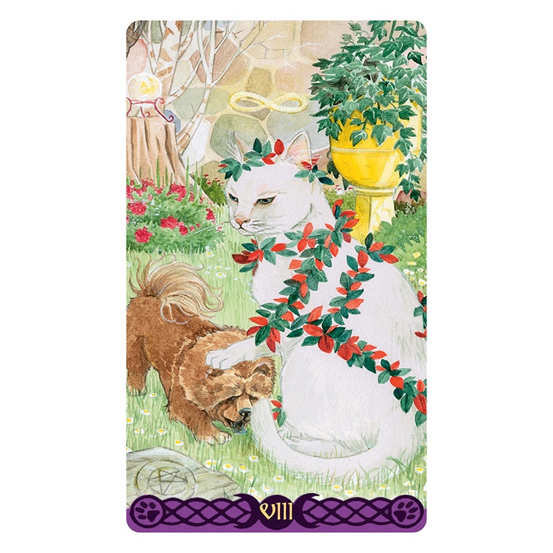 Bộ Bài Tarot of Pagan Cats - Mini Edition (Mystic House Tarot Shop) - Bài Gốc Authentic Chính Hãng 100%