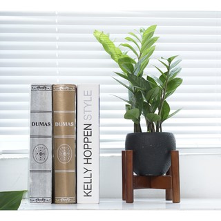 Kệ để chậu hoa, kệ để chậu cây mini để bàn | Kệ gỗ tần bì chân tròn, lắp ghép đơn giản