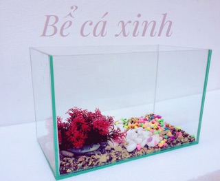 Bể Cá Mini Đẹp