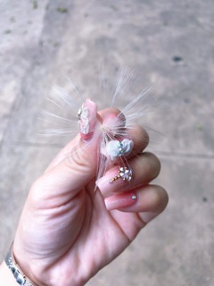 🌼HOA CÚC LỆCH🌻(12000đ/1 bông)