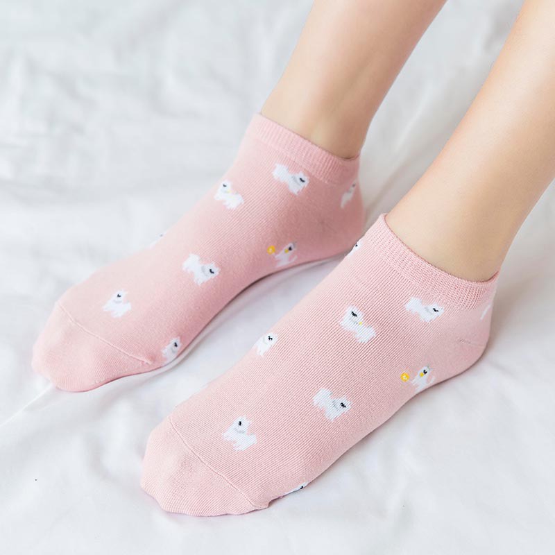 Tất ngắn cổ nữ màu hồng đáng yêu ( TC149 )