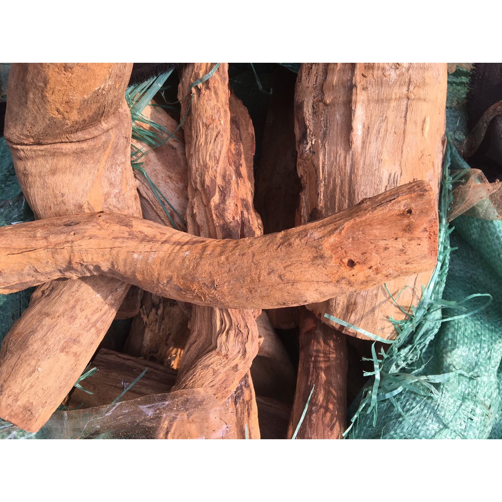 4 Kg Rễ gỗ nghiến ghép lan dài 25 đến 30 cm