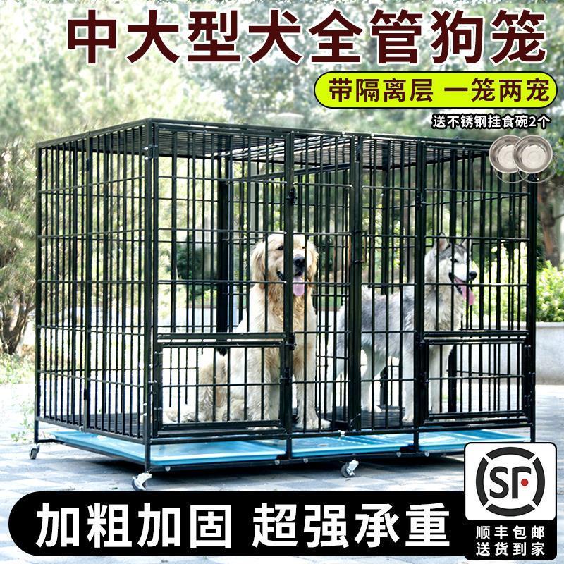Lồng Chó Lớn Đậm Gấp Quá Khổ Lồng Với Phân Vùng Alaska Golden Retriever Chó Trung Bình Với Nhà Vệ Sinh LGAo