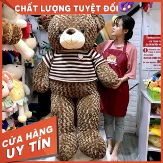 Teddy Socola - Gấu Bông Siêu Cao Cấp