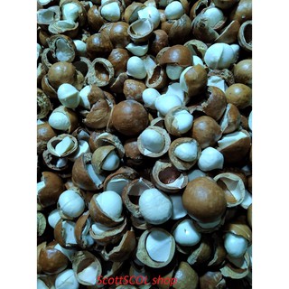 Macca nứt vỏ hút chân không 500gram