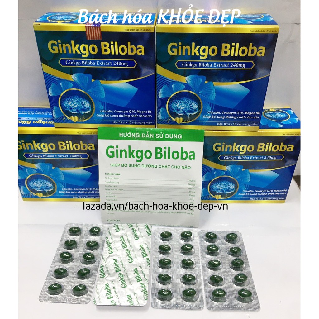 Hoạt huyết dưỡng não Ginkgo Biloba Extract 240mg - Hộp Xanh da trời 100 viên | BigBuy360 - bigbuy360.vn