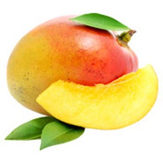 Bơ xoài nguyên chất BIO