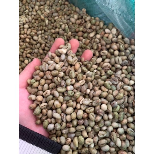 1kg_Nhân Cà phê sống ROBUSTA S18 CHỌN LỌC