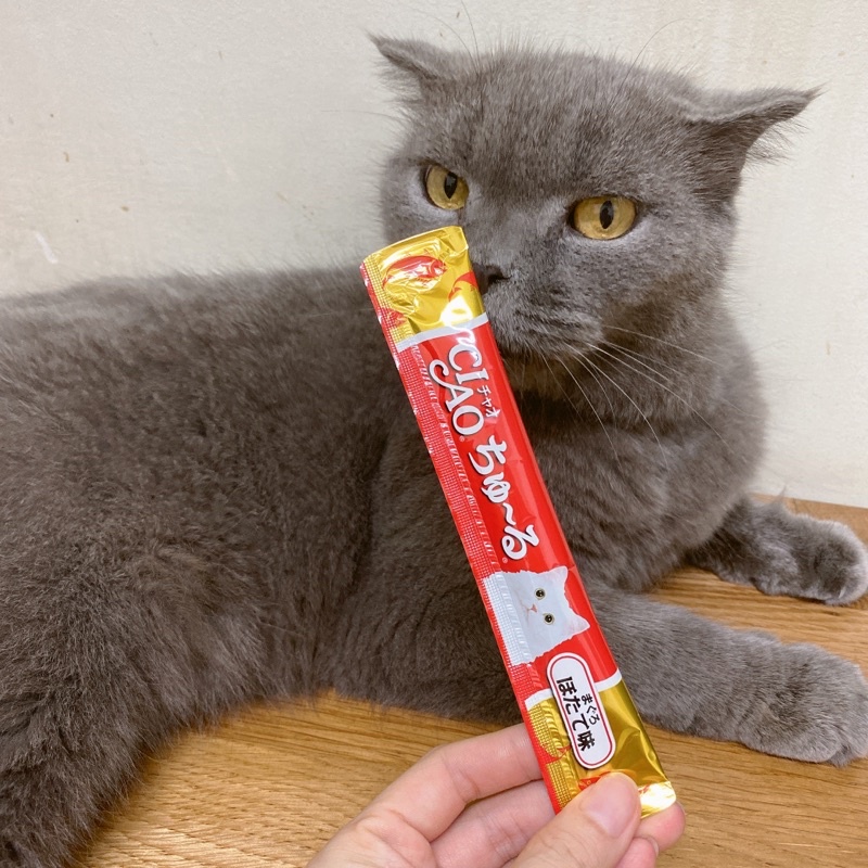 CIAO Churu Hũ 50 Cây Súp Thưởng Cho Mèo Nhập Thái