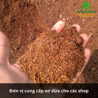 mùn xơ dừa trồng cây