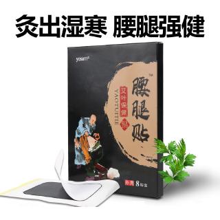 Miếng Dán Giảm Đau Cơ Bắp / Đầu Gối / Xương Khớp