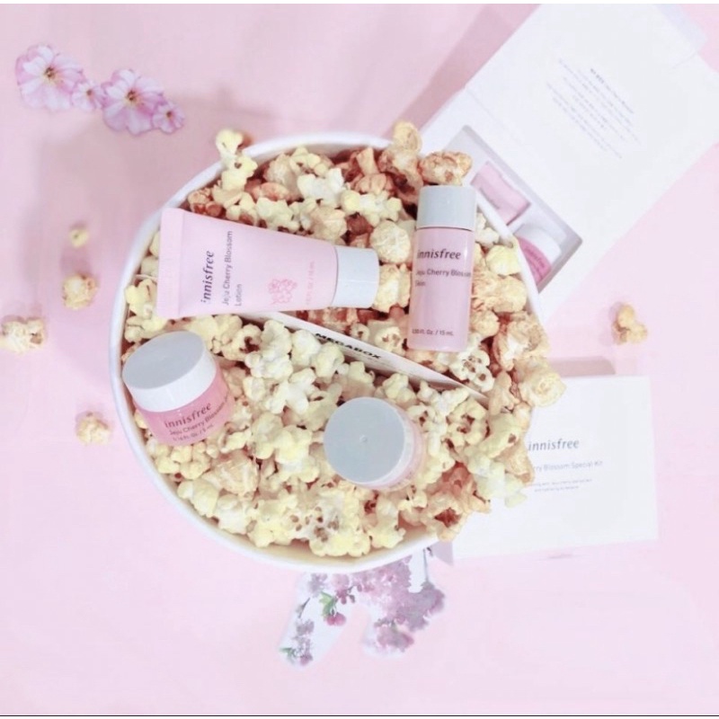 Jeju cherry blossom special kit date 2024