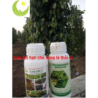 NẤM ĐỐI KHÁNG TRICHODERMA BACILLUS HLC 500ML - Ủ PHÂN CHUỒNG, ĐỐI KHÁNG NẤM BỆNH, CẢI TẠO ĐẤT
