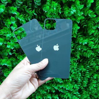 Kính cường lực mặt sau cho iPhone 11 Pro Max Xanh rêu