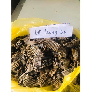 Đỗ trọng bổ thận tráng dương
