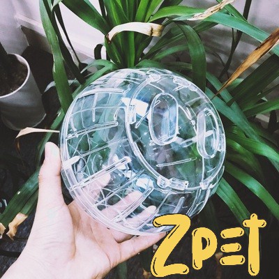 Banh chạy Hamster